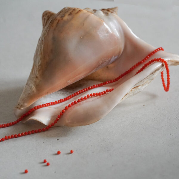 La Mer Coral Necklace