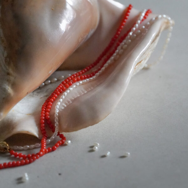La Mer Pearl & Coral on a shell